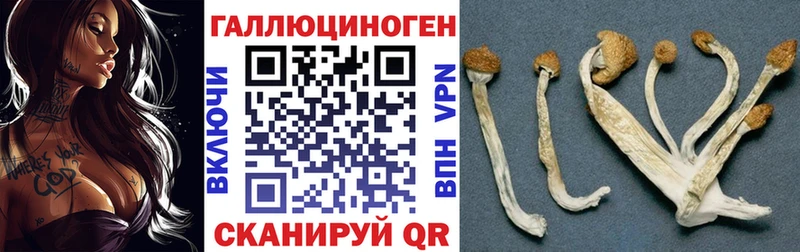Псилоцибиновые грибы прущие грибы  Егорьевск 